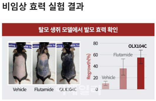 올릭스의 남성용 탈모치료제 후보물질 OLX104C의 비임상효력실험 결과 (자료=올릭스)