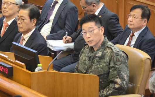 조성현 수도방위사령부 제1경비단장(대령) (사진=헌법재판소)