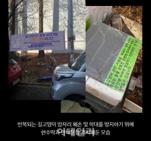 지난 2월 동물보호단체 동물자유연대에 제보가 들어온 길고양이 급식소 근처에 현수막이 설치된 모습(사진=동물자유연대)