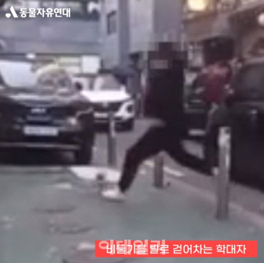 지난 2022년 10월 비둘기로 제기차기를 하는 남성의 모습. 해당 영상은 인스타그램 스토리에 게재 됐다. (사진=동물자유연대)