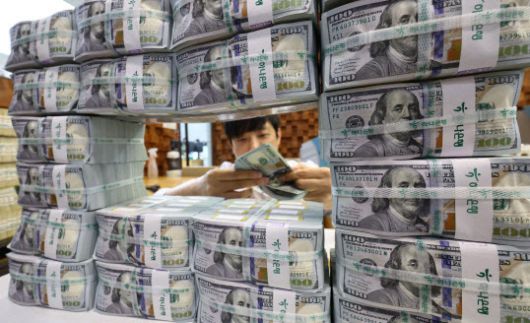 서울 중구 하나은행 위·변조 대응센터에서 직원이 달러를 정리하고 있다. (사진=연합뉴스)