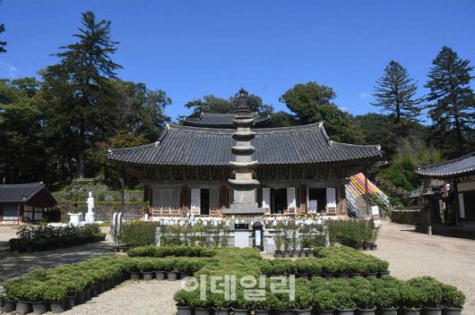 공주 마곡사 오층 석탑 전경