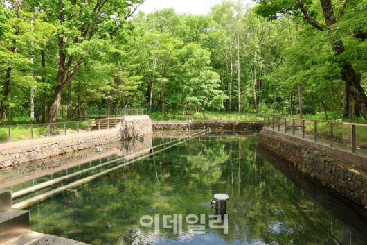 백산수 수원지인 내두천의 모습. (사진=농심)