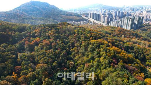 대모산도시자연공원 모습 (사진=강남구)