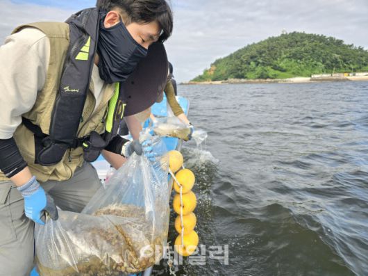 경기도해양수산자원연구소 관계자들이 지난 2024년 7월 화성 도리도 연안에 어린 새조개를 방류하고 있다. (사진=경기도해양수산자원연구소)