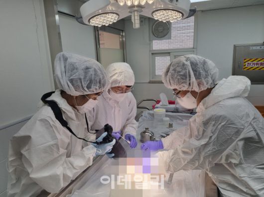 경기도동물위생시험소 관계자들이 사망한 고양이 사체를 부검하고 있다.(사진=경기도