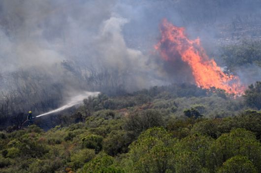 (사진=로이터통신)