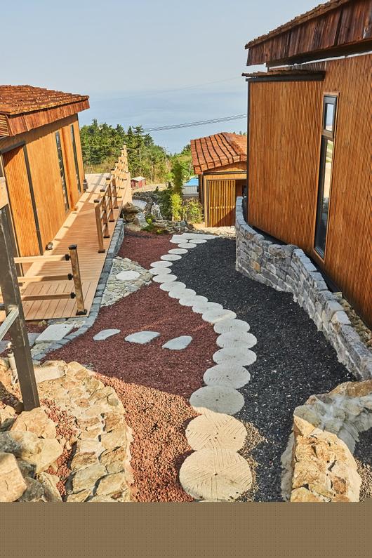 (사진=스테이너와)