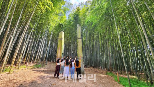 부산 기장의 아홉산숲