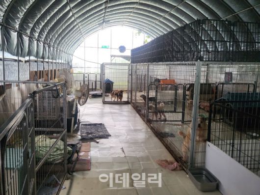 산수의천사들 소형견사의 모습(사진=박지애 기자)