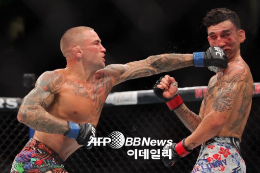 더스틴 포이리에가 맥스 할로웨이에게 강력한 펀치를 적중시키고 있다. 사진=AFPBBNews