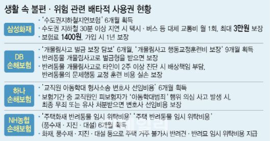 [이데일리 이미나 기자]