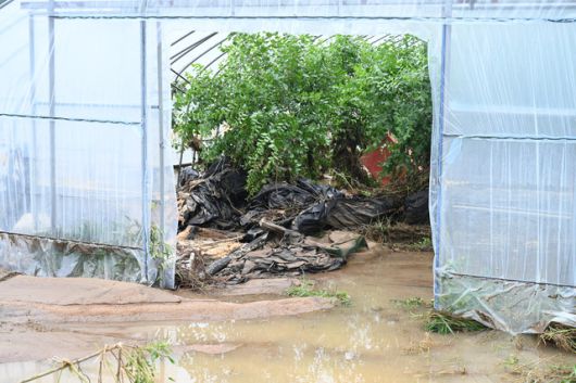 원예시설을 중심으로 농작물재해보험 피해 접수가 급증하고 있다.(사진=연합뉴스)
