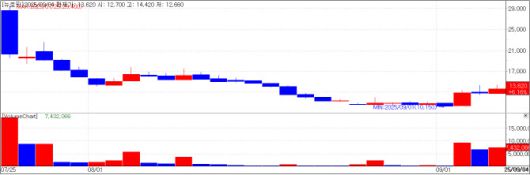 뉴로핏 차트(자료=KG제로인 MP닥터)