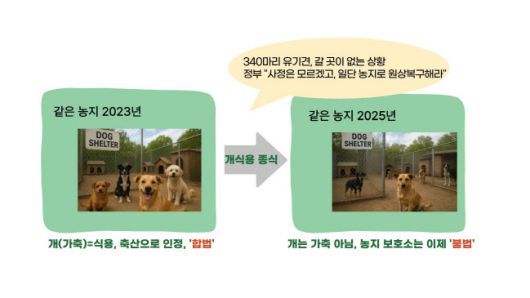 ‘농지법’을 적용받는 민간동물보호소 관련 이미지. (그래픽=박지애 기자)