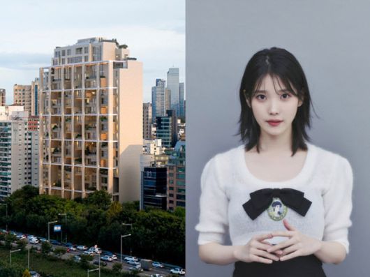 에테르노 청담과 가수 아이유. (사진=현대건설, 이담엔터테인먼트 제공)