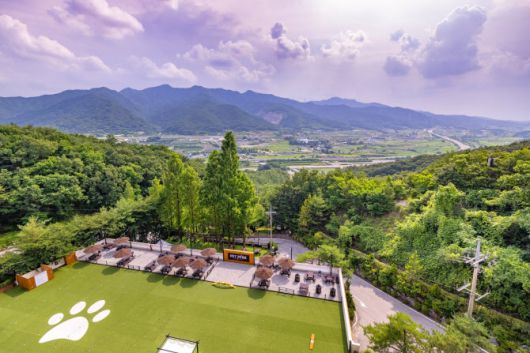 켄싱턴리조트 충주의 야외 펫파크 전경 (사진=이랜드파크)