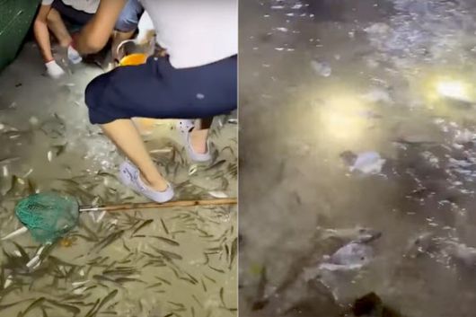 지난 24일 중국 마카오 거리에서 주민들이 물고기 잡이를 하고 있다. (사진=유튜브 캡처)