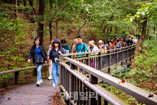 참가자들이 인솔자를 따라 관악산 무장애 숲길을 걷고 있다. (사진=서울관광재단)