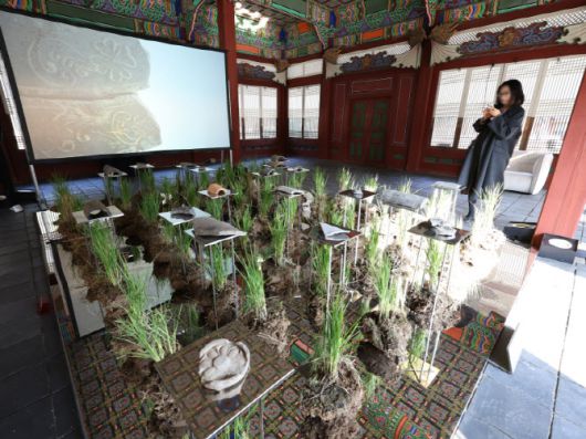 국가유산청 예담고 프로젝트전 '땅의 조각, 피어나다' 개막한 4일 서울 중구 덕수궁에서 관람객이 작품을 둘러보고 있다. 플로리스트 레오킴, 국립경주문화유산연구소 김유정의 작품 '시간의 겹에서 바라보다'가 전시돼 있다. (사진=연합뉴스)