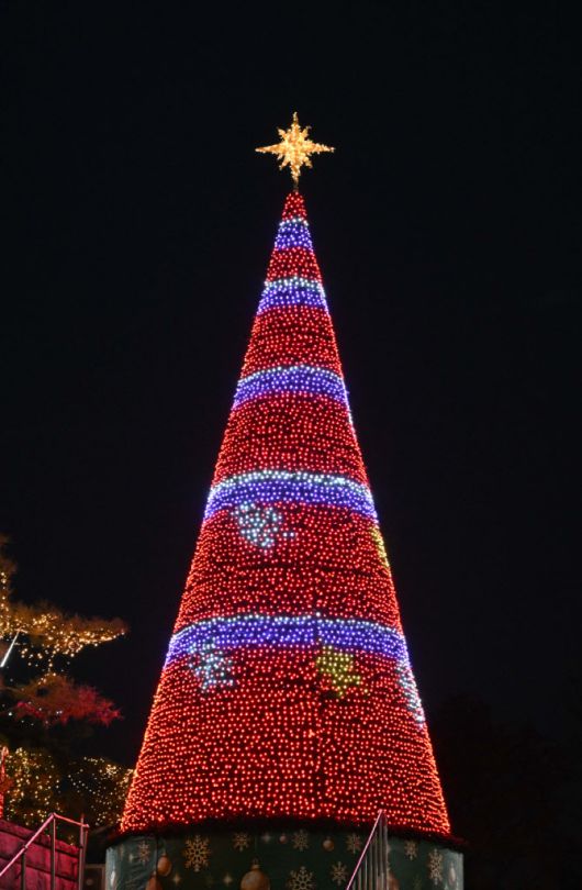 여의도순복음교회 성탄트리 점등식(사진=여의도순복음교회).