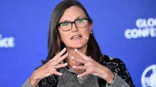 캐시 우드 아크 인베스트 최고 경영자. (사진=이데일리DB)