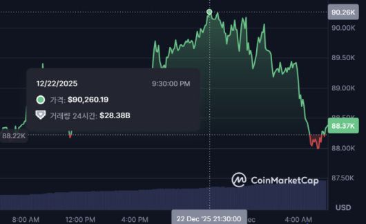 비트코인이 22일(한국시간) 밤에 장중 9만달러를 돌파했지만 전문가들은 상승세가 계속되지 않을 것으로 전망했다. (사진=코인마켓캡)