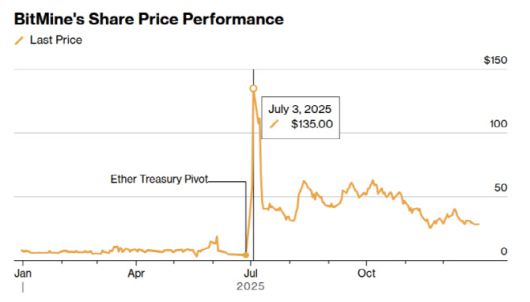 비트마인 올해 주가 추이. (사진=블룸버그)
