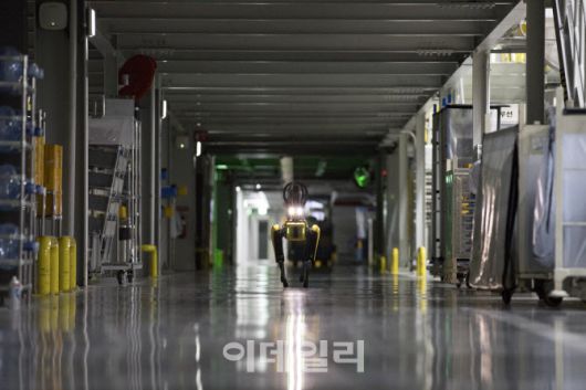 기아 오토랜드 광명 전기차 공장 ‘EVO 플랜트’를 순찰 중인 ‘스팟’ (사진=이데일리 이영훈 기자)