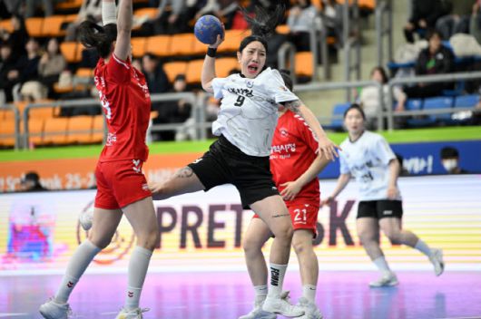 삼척시청. 사진=KOHA