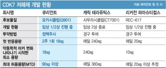 (그래픽=이데일리 김정훈 기자)