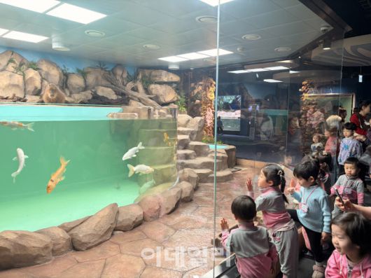 지난 8일 롯데월드 아쿠아리움에서 ‘바라’를 구경하고 있는 아이들 (사진=이민하 기자)