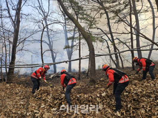 16일 산림청 산불특수진화대가 확산 저지를 위해 방화선을 구축하고 있다.(사진=뉴시스)