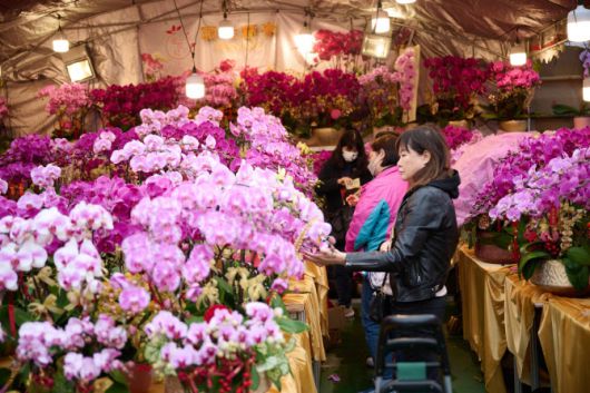 홍콩의 설 맞이 꽃 시장 (사진=홍콩관광청)