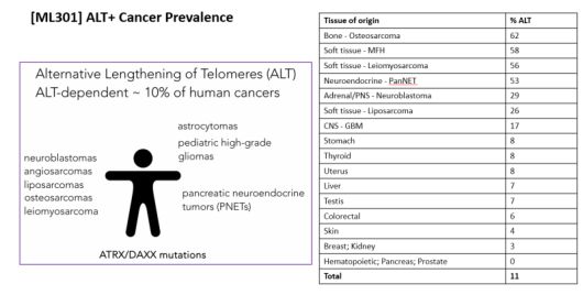 '대체 텔로머라아제 유지 기전'(ALT) 암은 전체 암에서 10%를 차지한다. 특히, ALT가 많이 나타나는 암은 골육종, 지방육종, 평활근육종, 혈관육종, 신경모세포종, 췌장 신경내분비종양, 소아 고등급 교종, 성상세포종 등이 있다. (제공=비엘멜라니스)