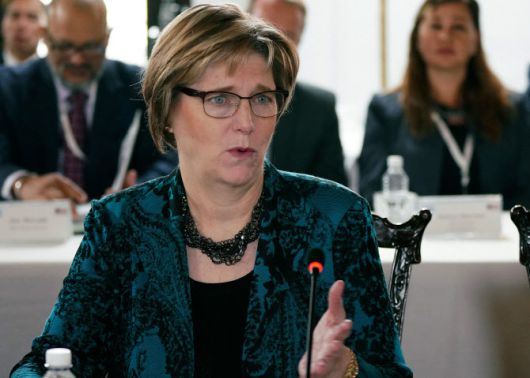 베네수엘라 업무부 대리대사로 임명된 로라 F. 도구 전 온두라스·니카라과 대사 (사진=AFP)