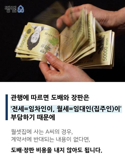 조선일보