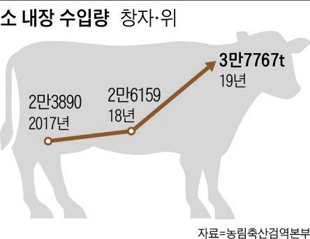 조선일보