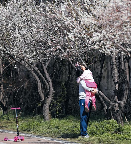 조선일보