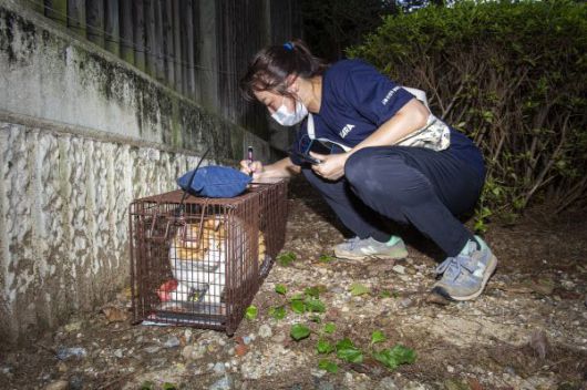 19일 오후 강남구의 한 재건축 아파트에서 동물권행동 카라 활동가가 종이에 포획된 고양이의 정보를 적고 있다. 이들은 고양이가 포획된 위치 등을 기록해뒀다가 중성화 수술이 끝나면 그 자리에 그대로 방사한다.