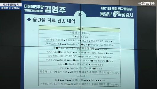 더불어민주당 김영주 의원이 8일 공개한 민주평통에서 외부로 전송된 자료 목록. 음란물로 추정되는 파일 이름도 여럿 보인다.
