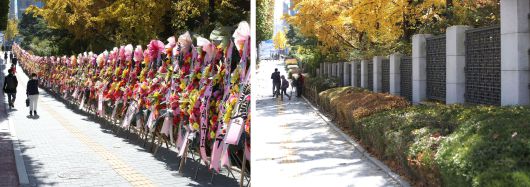 보수단체 회원들이 2일 오전 서울 서초구 대검찰청 앞의 윤석열 검찰총장 응원 화환을 자진 철거했다. 사진은 지난 29일 대검찰청 앞에 줄지어선 화환(왼쪽)과 2일 오전 철거되어 비어있는 모습을 이어붙였다. /뉴시스