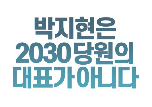 더불어민주당 박지현 비대위원장 사퇴 촉구 집회 주최 측이 만든 팸플릿. /트위터