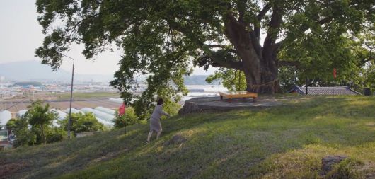 드라마 '이상한 변호사 우영우' 8회에서 주인공 우영우가 팽나무로 달려가는 장면. /ENA