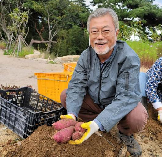 조선일보