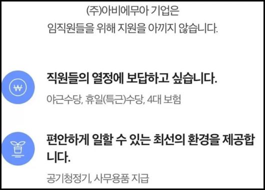 강민경이 운영하는 의류 쇼핑몰 '아비에무아' 채용 공고 중 일부. /사람인
