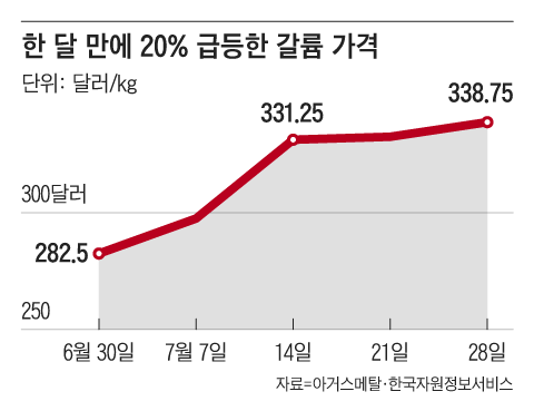 조선일보