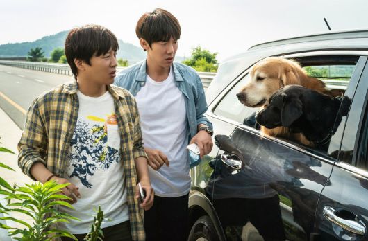 '멍뭉이' 스틸컷. /쿠팡플레이