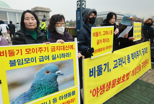 한국동물보호연합 관계자들이 3일 오후 국회 앞에서 열린 '비둘기, 고라니 등 야생생물 먹이주기 금지한 야생동물보호법 규탄' 기자회견에서 발언하고 있다./ 연합뉴스