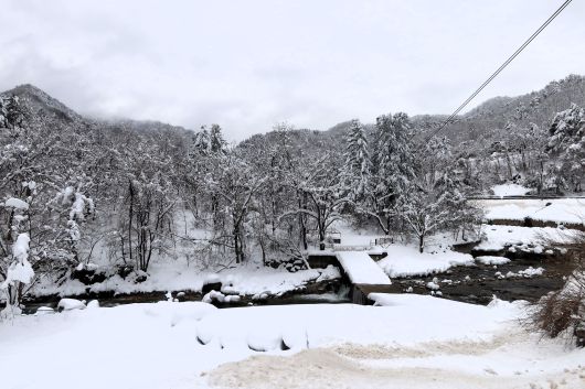 강릉 소금강 장천에 내린 눈.